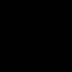 Meet your Posher, Mia